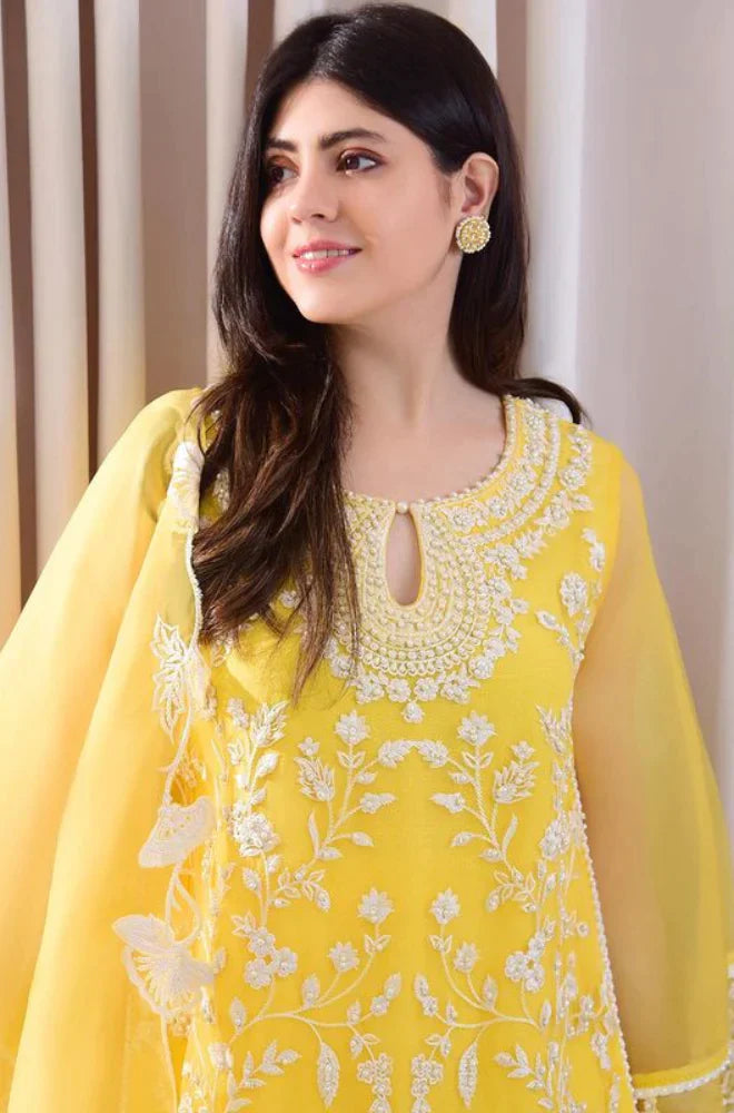 RP242-3PC Lawn Embroidered Shirt With Organza Embroidered Dupatta
