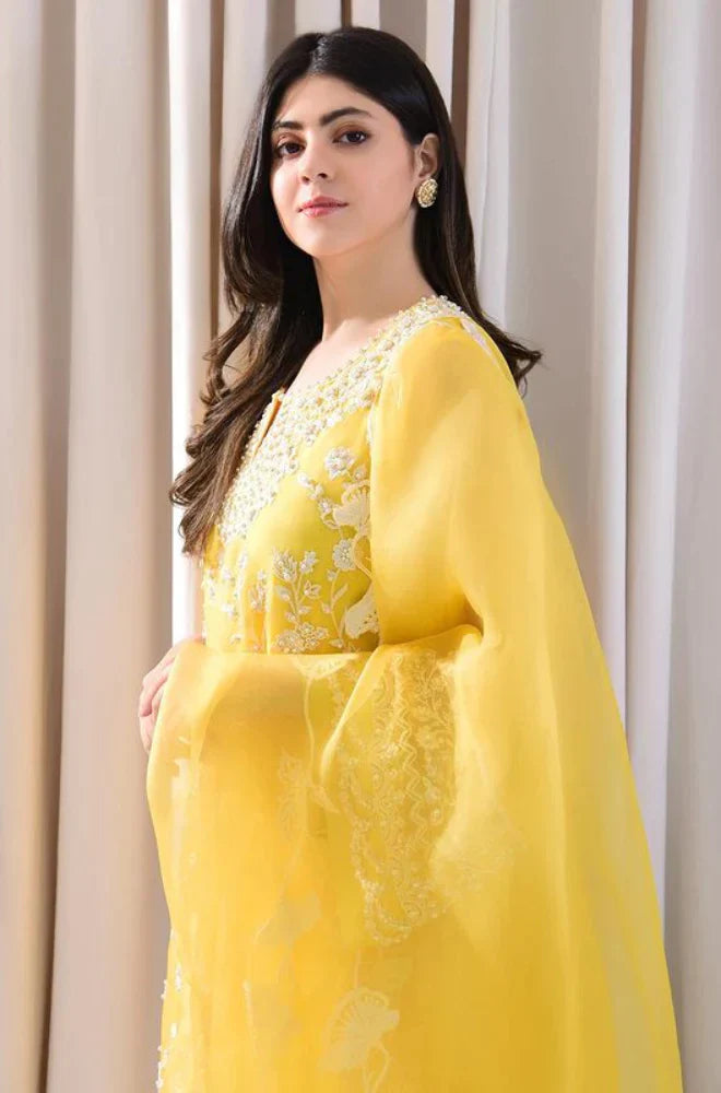 RP242-3PC Lawn Embroidered Shirt With Organza Embroidered Dupatta