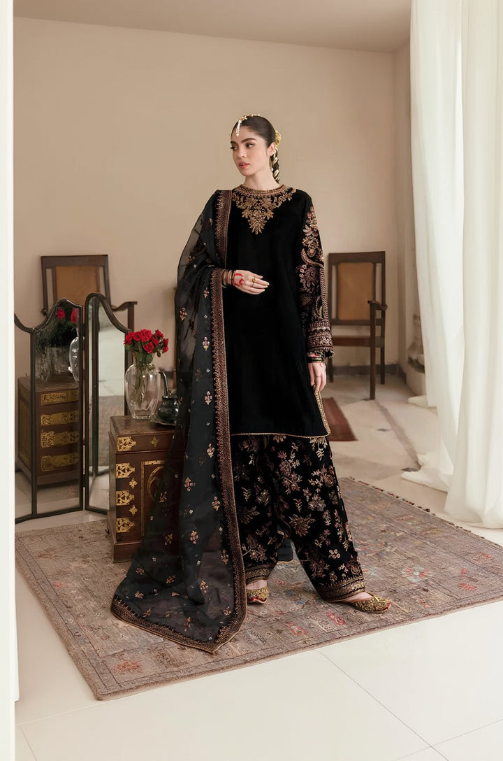 RP563-Embroidered Velvet Dress With Organza embroidered Dopata