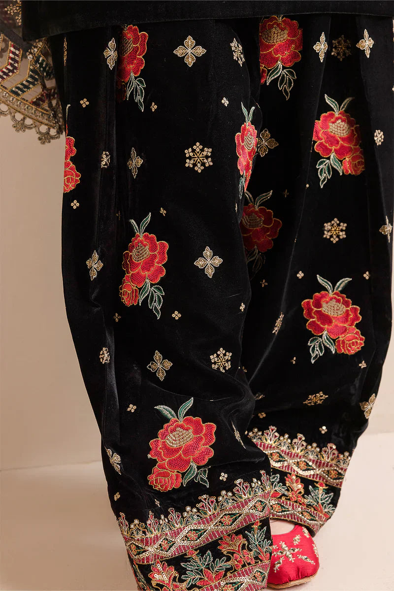 RP577-Embroidered Velvet Dress With Organza embroidered Dopata