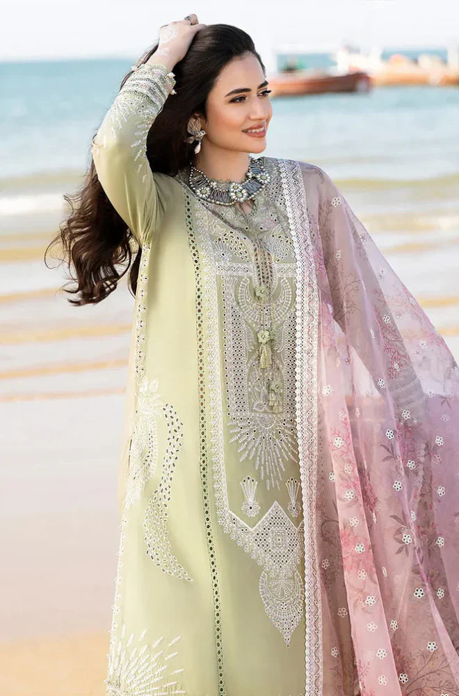 Rp1107- Qalamkar - Summer 3PC Lawn Chicken Kari Embroidered Suit