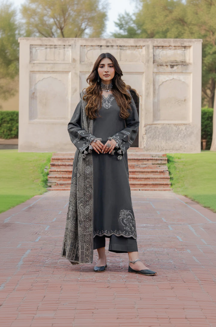 Rp33112-izel - Winter 3PC Dhanak Embroidered Suit
